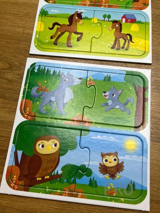 Juego de Lógica y Reflexión Lisciani