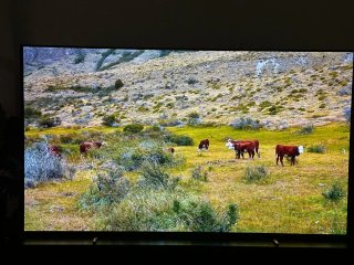 TV Philips OLED 65 Ambilight
