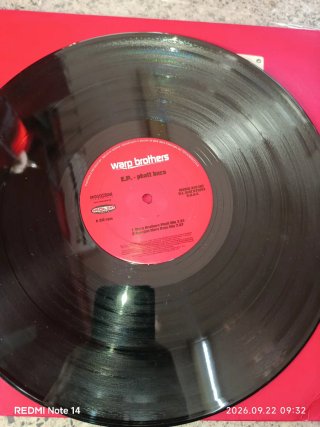 Warp Brothers E.P. We Will Survive