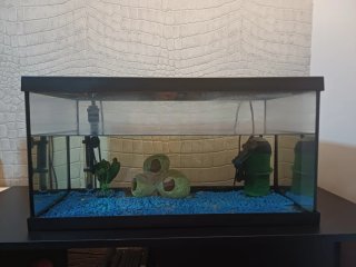 Acuario/pecera con mueble