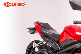 TRIUMPH STREET TRIPLE S