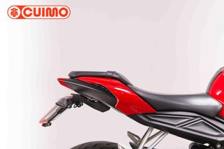 TRIUMPH STREET TRIPLE S