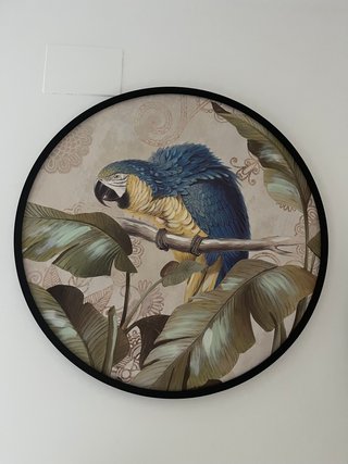 Pareja Cuadros Decorativos Loros