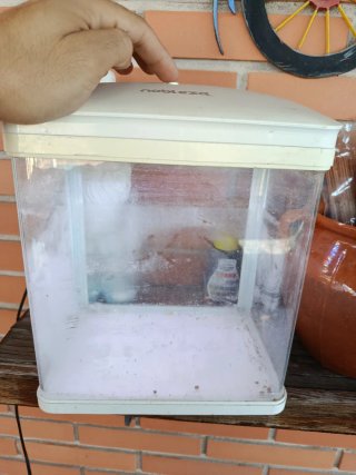 Acuario Nobleza