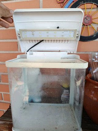 Acuario Nobleza