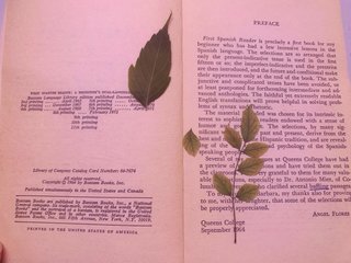 Lote de 6 libros clásicos en inglés, ediciones vin