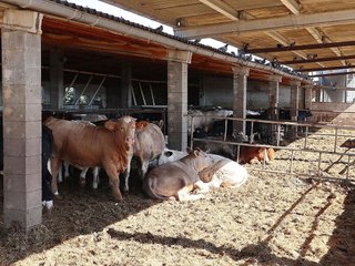 Nave industrial en venta en Ulldecona