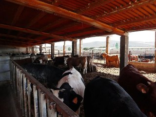 Nave industrial en venta en Ulldecona