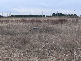Terreno en venta en Membrilla