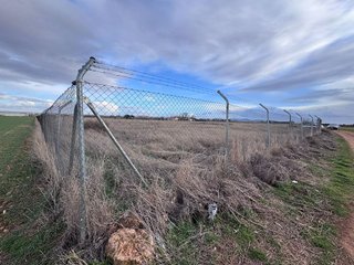 Terreno en venta en Membrilla
