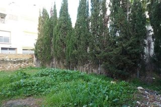 Terreno en venta en Ulldecona