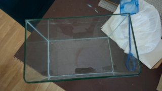Pecera de cristal
