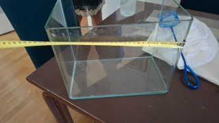 Pecera de cristal