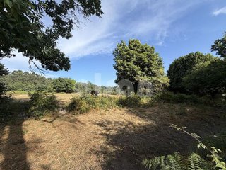 Terreno en venta en Cañiza (A)