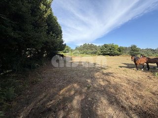 Terreno en venta en Cañiza (A)