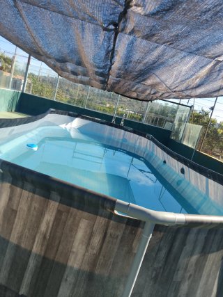 Piscina ovalada tubular imitación  madera