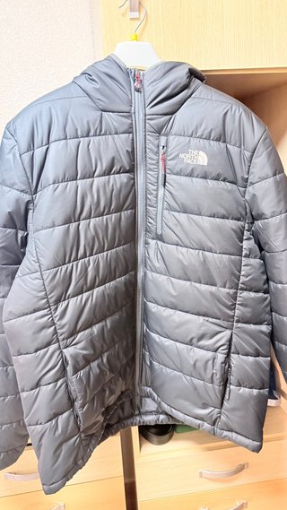 Chaqueta The North Face gris