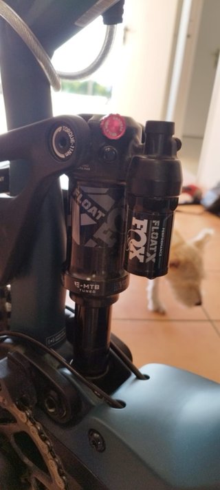 Giant Stance E+0 2026