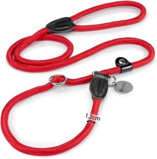 Correa Retriever Lionto Perro 120cm Roja
