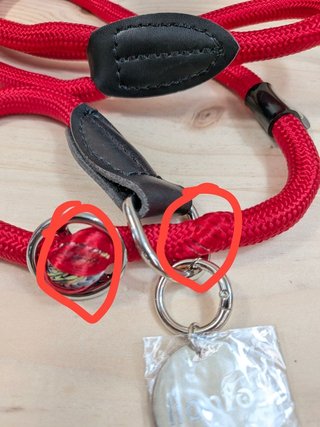 Correa Retriever Lionto Perro 120cm Roja