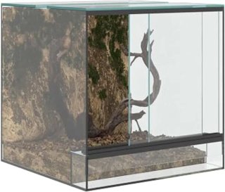 Terrario de cristal para reptiles