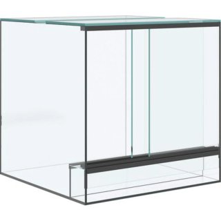 Terrario de cristal para reptiles