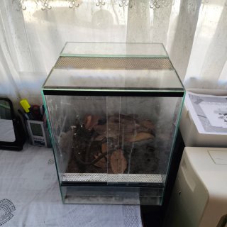 Terrario de cristal para reptiles