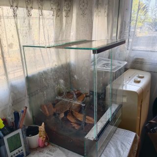 Terrario de cristal para reptiles