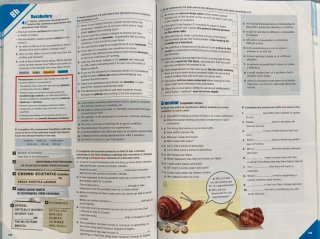 Pioneer Student's book C1/C1+ Premium Edition