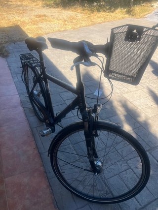 Bicicleta Gudereit Comfort