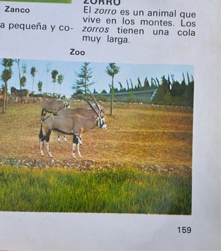 Mi primer diccionario EVEREST