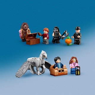 LEGO 75947 Harry Potter Cabaña de Hagrid