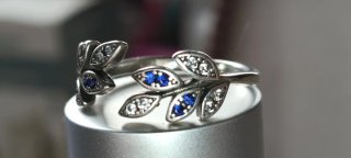 Anillo ajustable hojas