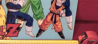 Elige: Cuadros Dragon Ball Z y Esferas del Dragón
