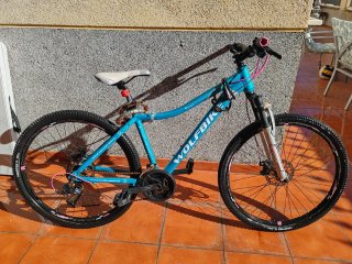 Bicicleta Montaña Wolfbike Gold Edition