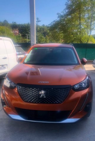 Faro Antiniebla Izquierdo Peugeot 9831303880