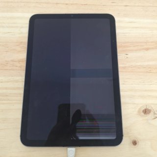 iPad A2568 iCloud libero con schermo rotto