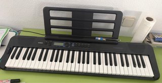 Teclado Casio Casiotone