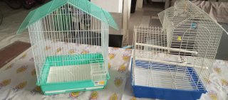 Due gabbie per uccelli (verde e blu)