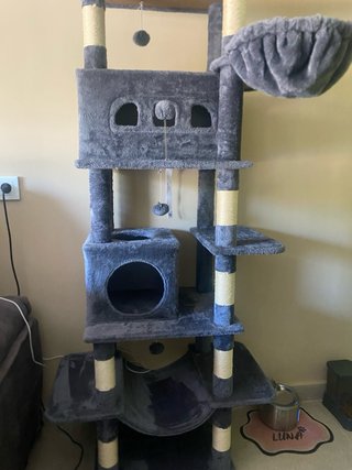 Rascador para gatos gris