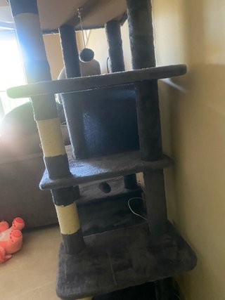 Rascador para gatos gris