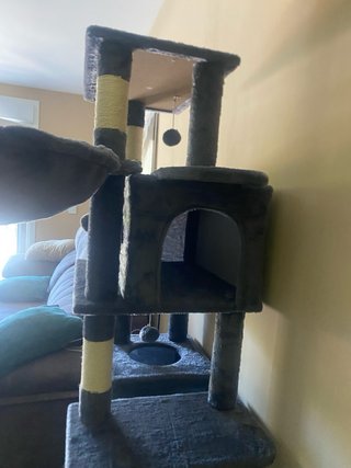 Rascador para gatos gris