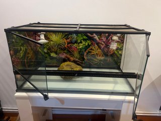Terrario Exotierra para reptiles