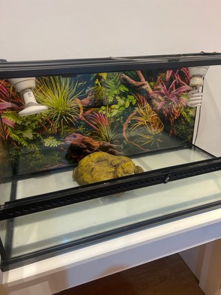 Terrario Exotierra para reptiles