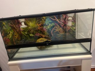 Terrario Exotierra para reptiles
