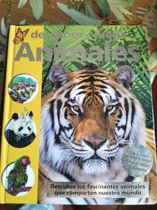 LIBROS DE CUENTOS INFANTILES DESDE 0 A 8 AÑOS