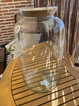 Botella de terrario gigante