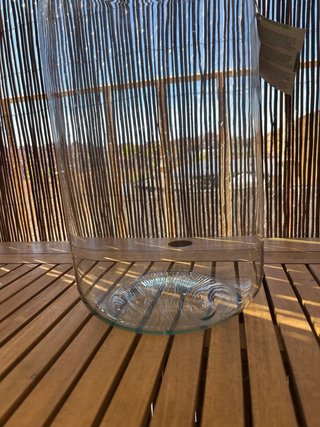 Botella de terrario gigante
