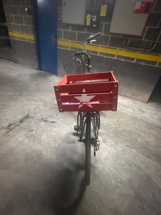 Bicicleta de paseo 26 pulgadas con dos cestas