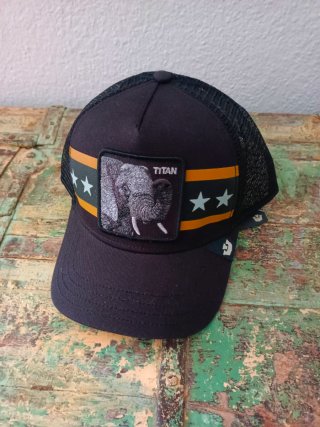 Gorra Goorin Bros Titan Elefante Negra